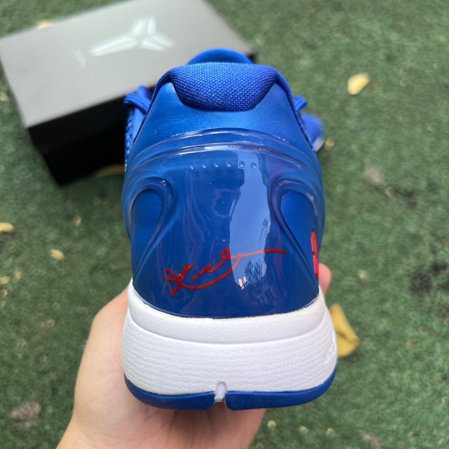 Nike Zoom Kobe 6 Protro "Dodgers" CW2190-400 - Nike x Jordan
