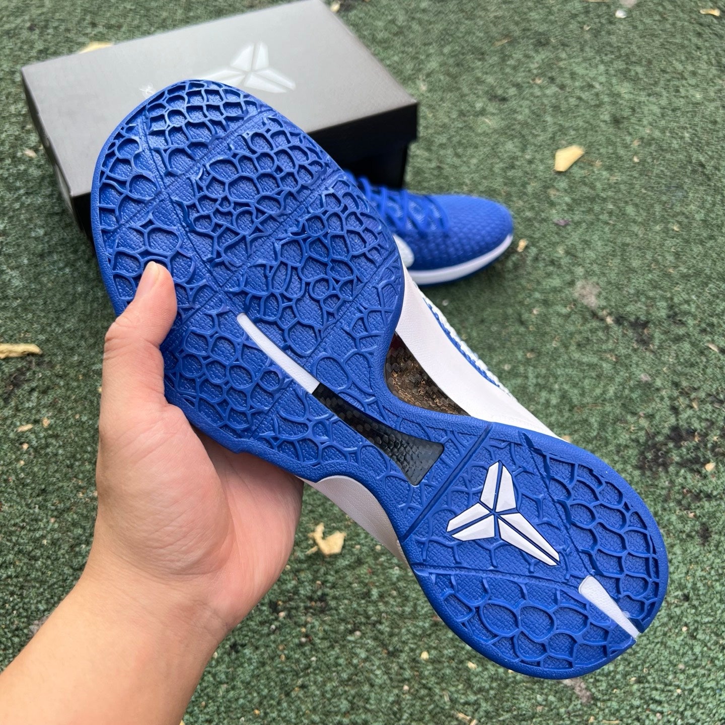 Nike Zoom Kobe 6 Protro "Dodgers" CW2190-400 - Nike x Jordan