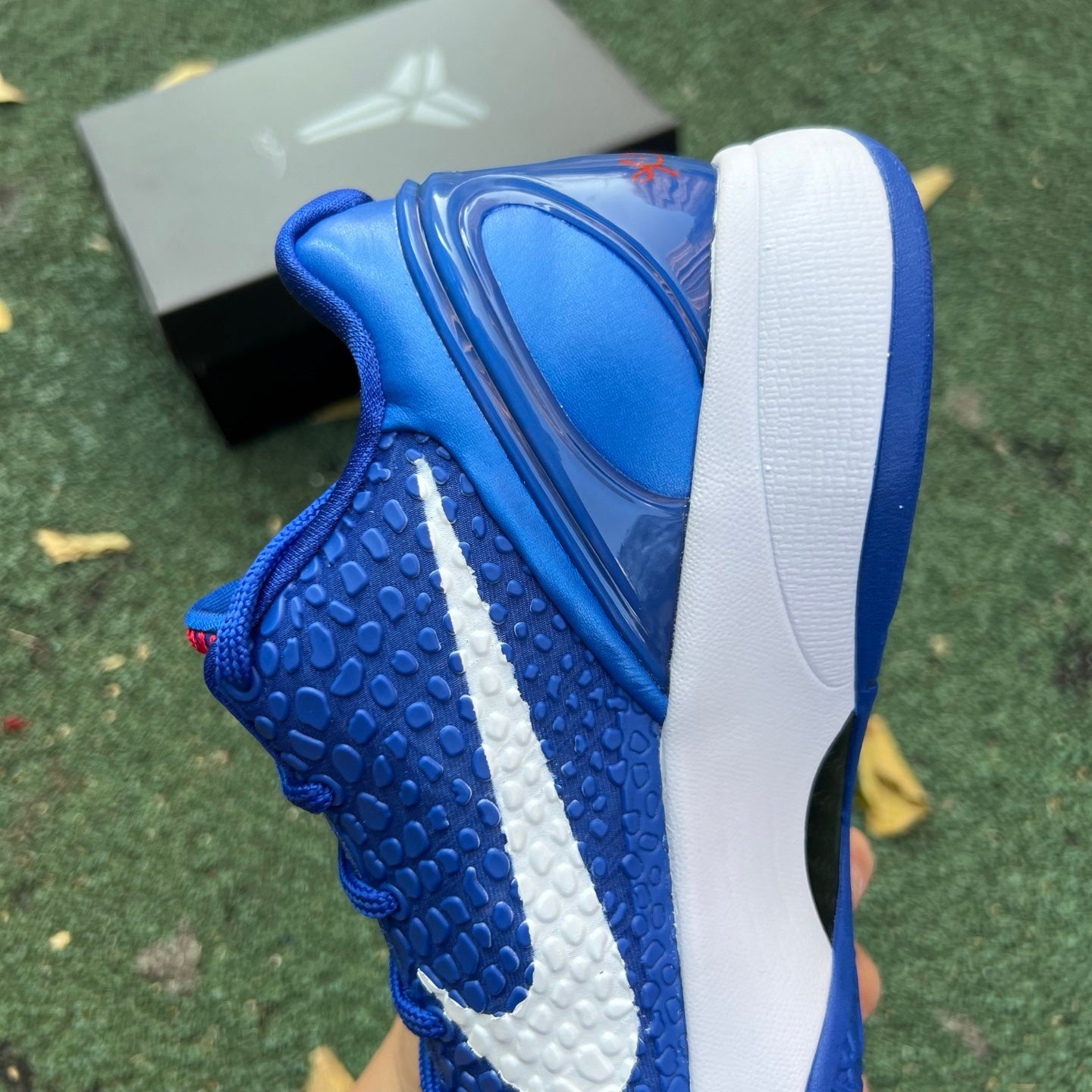 Nike Zoom Kobe 6 Protro "Dodgers" CW2190-400 - Nike x Jordan