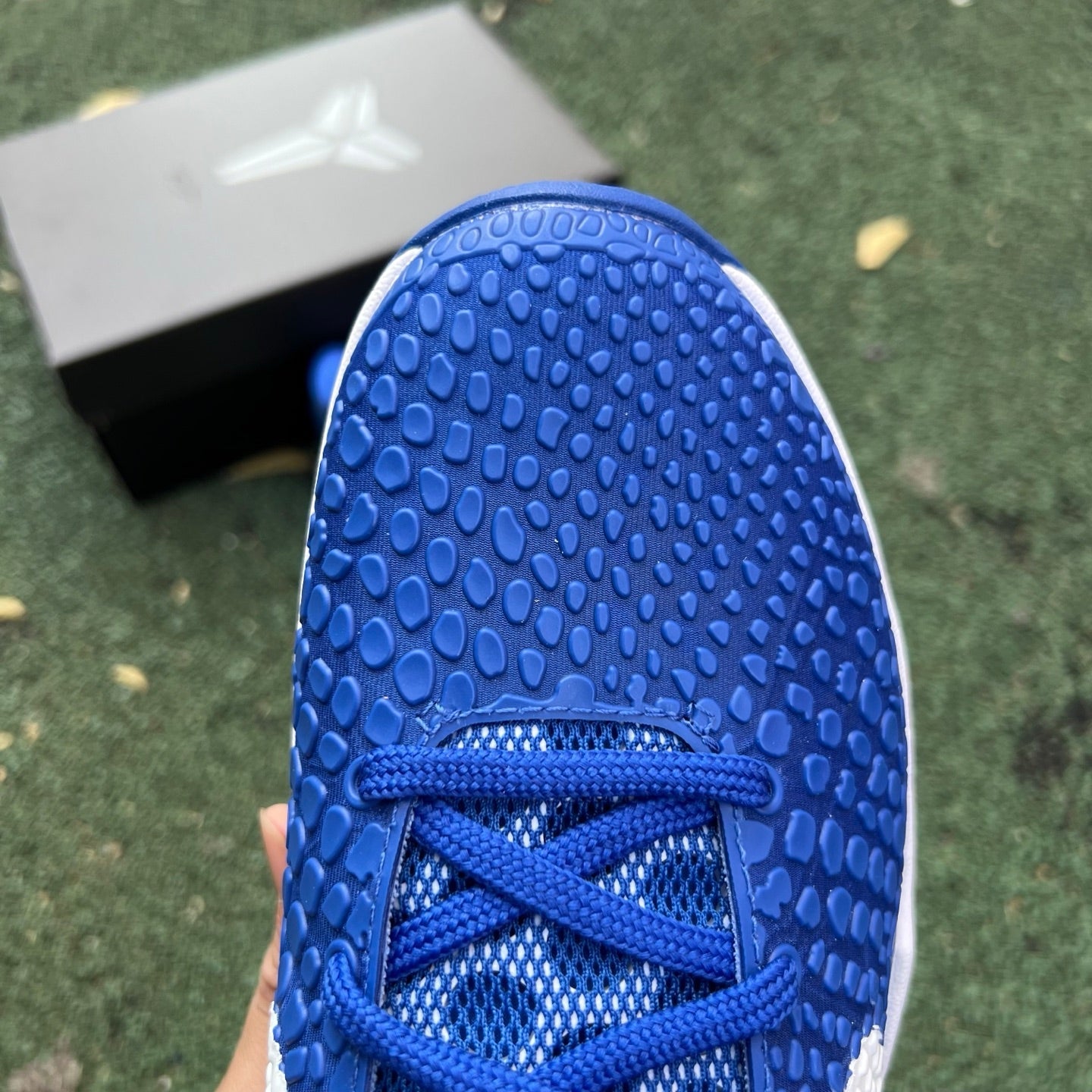 Nike Zoom Kobe 6 Protro "Dodgers" CW2190-400 - Nike x Jordan