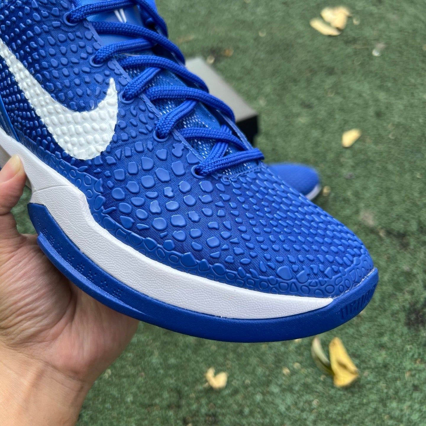 Nike Zoom Kobe 6 Protro "Dodgers" CW2190-400 - Nike x Jordan