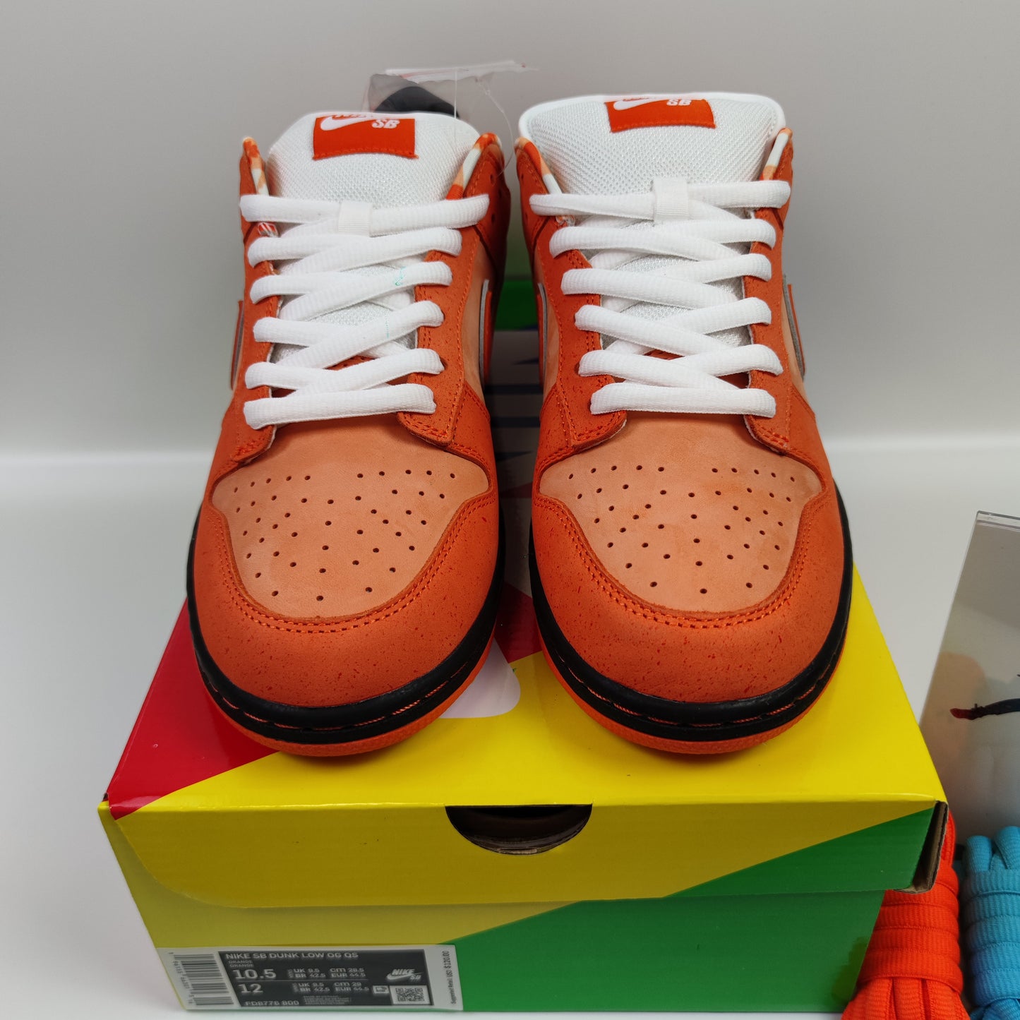 CONCEPTS x Nike Dunk SB Low "Orange Lobster" FD8776-800 - Nike x Jordan